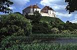 Олешский замок